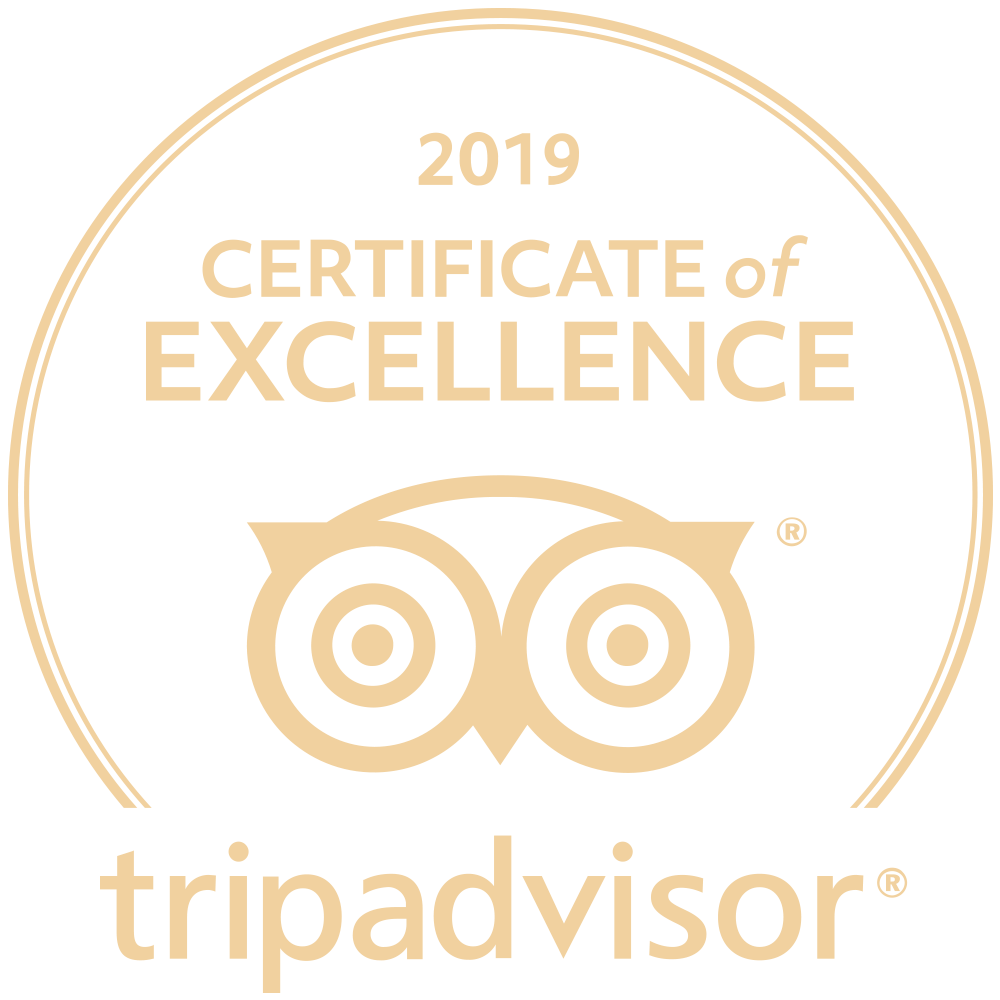 TripAdvisor
